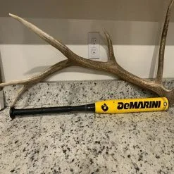 Demarini EVO Evolution 34/26 Slow Pitch Softball Bat -Baseball Sales Store 3f06528678e3bb32 original